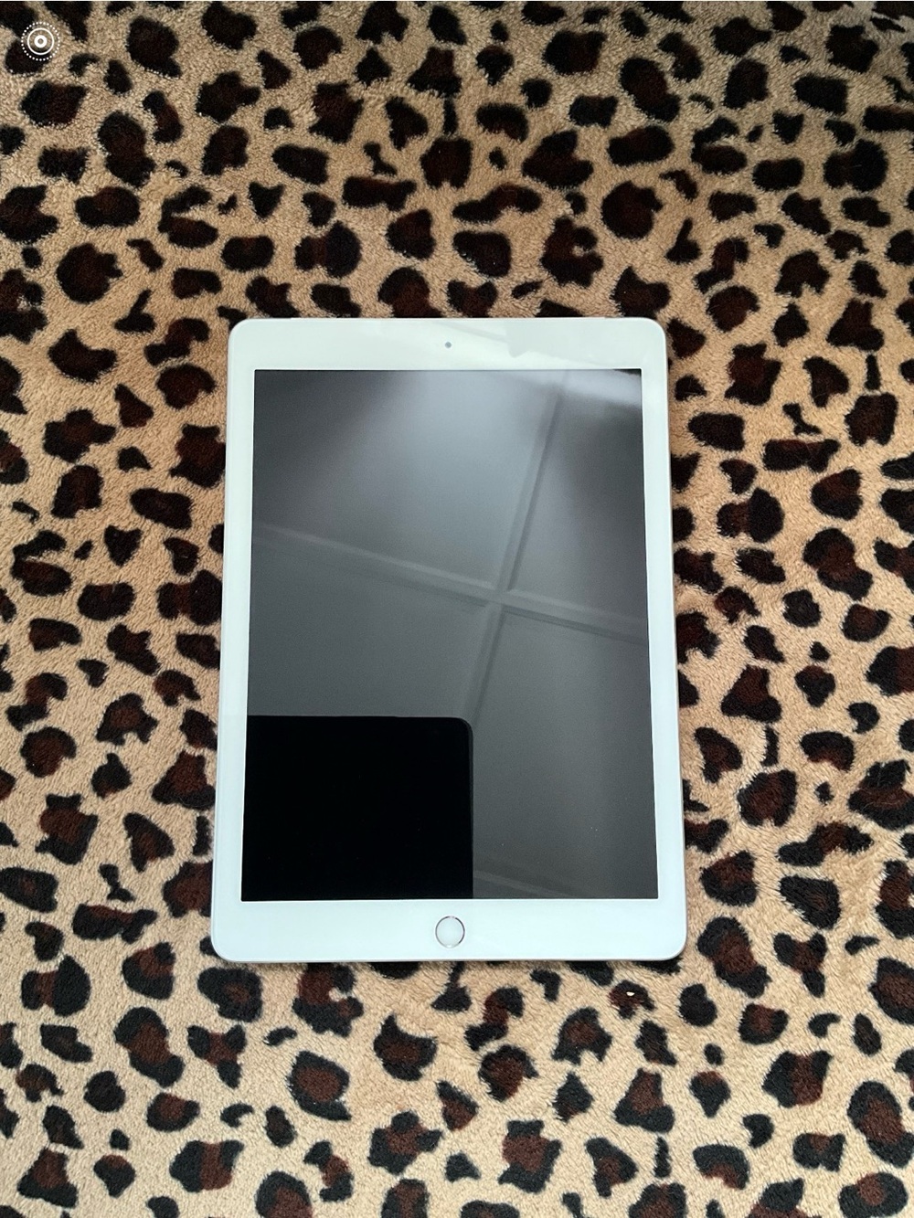 Apple iPad Tablet in White with Touch ID
